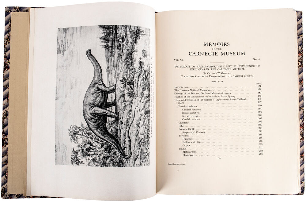 Osteology of Apatosaurus, with special reference to specimens in the Carnegie …
