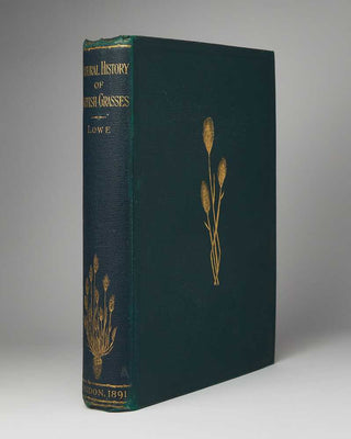A Natural History of British Grasses