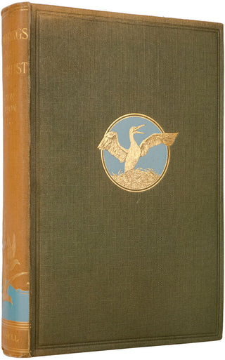 Wanderings of a naturalist