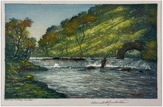 Salmon Fishing, Lucan