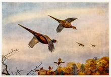 Load image into Gallery viewer, British and American Game-Birds. With a Chapter on Shooting in …
