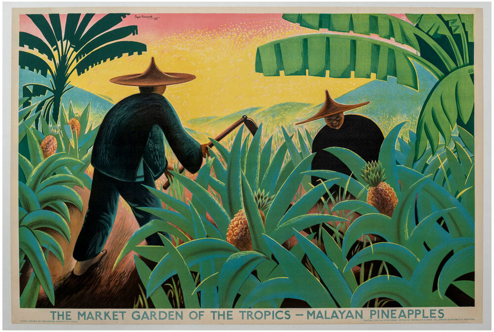 The Market Garden of the Tropics-Malayan Pineapples