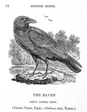 Load image into Gallery viewer, A History of British Birds ... Vol. I. containing the History and …